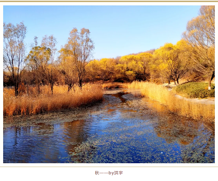 1614052029305826.png 【健步走】美美哒摄影作品已出炉,欢迎围观!_01.png