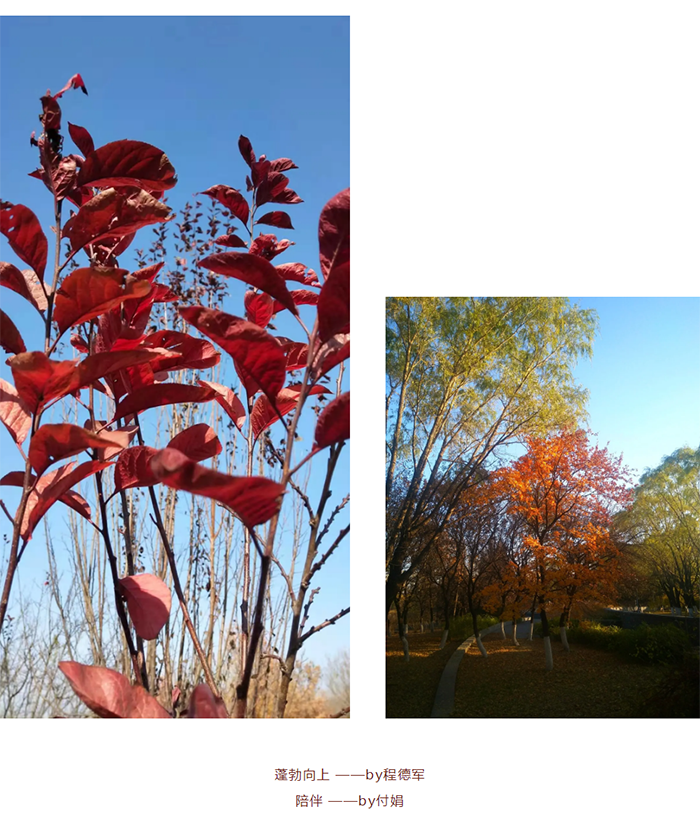 1614052134541124.png 【健步走】美美哒摄影作品已出炉,欢迎围观!_05.png