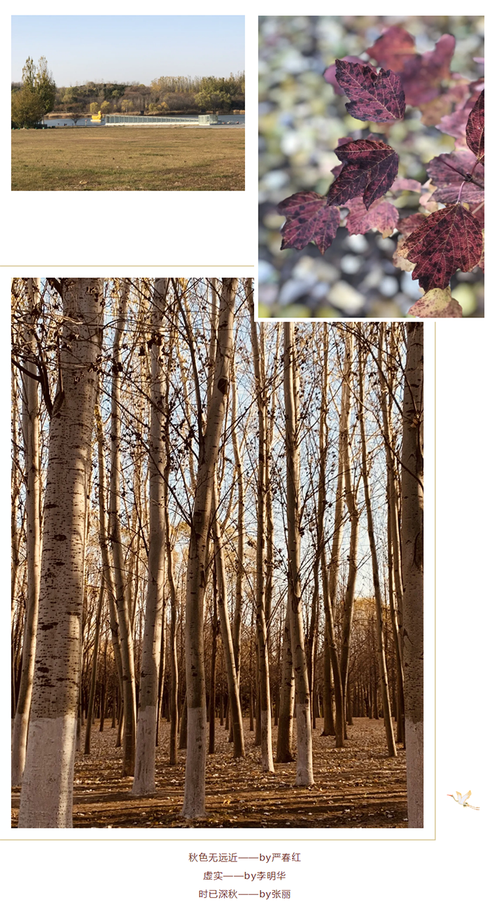 1614052144108186.png 【健步走】美美哒摄影作品已出炉,欢迎围观!_07.png