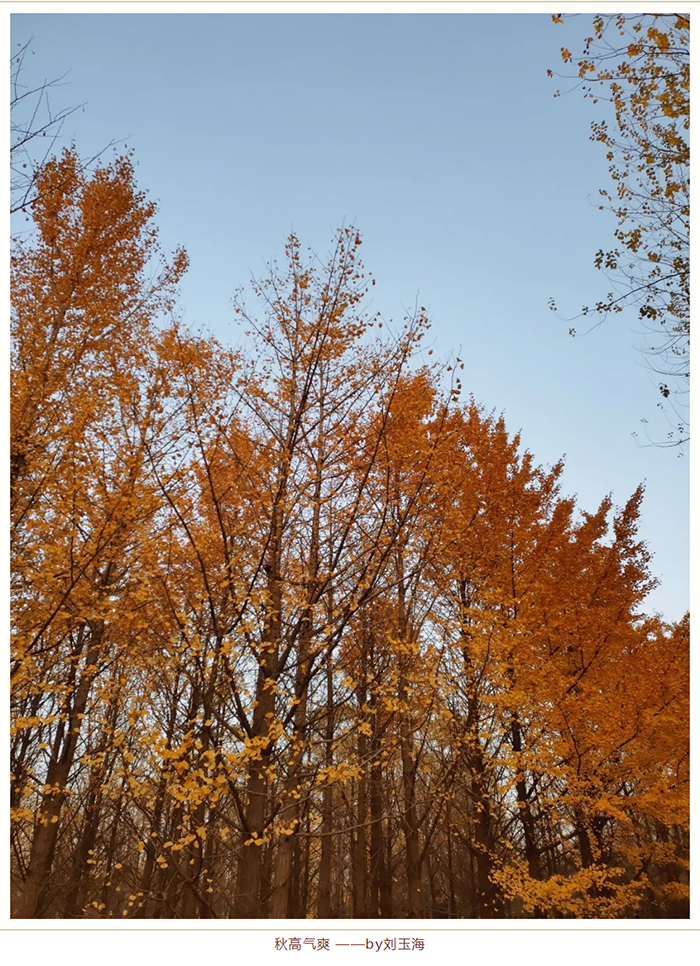 1614052170470638.png 【健步走】美美哒摄影作品已出炉,欢迎围观!_11.png