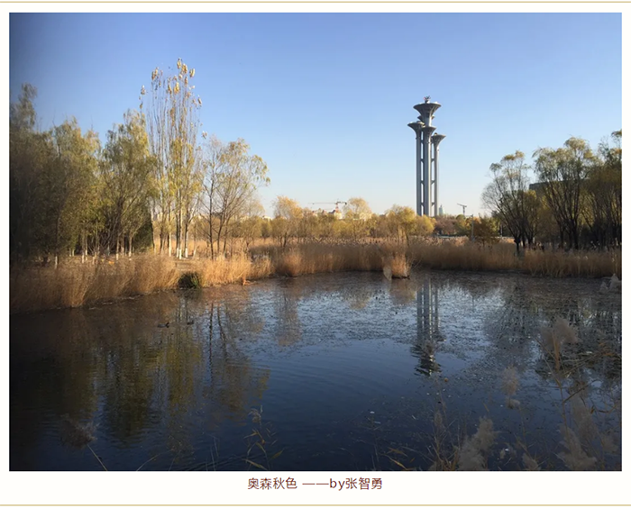 1614052179112773.png 【健步走】美美哒摄影作品已出炉,欢迎围观!_12.png