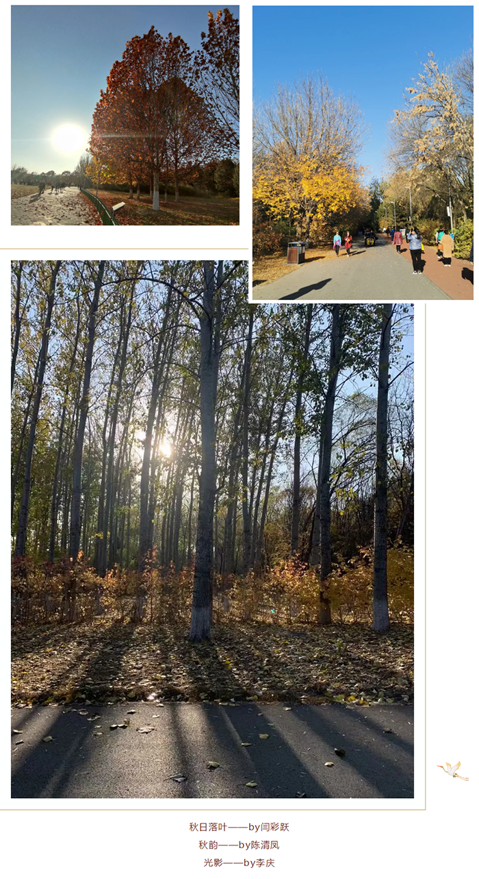 1614052192632954.png 【健步走】美美哒摄影作品已出炉,欢迎围观!_14.png